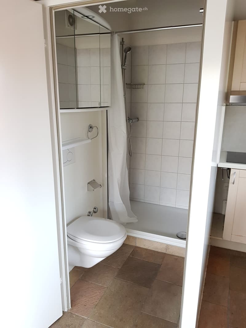 A small bathroom with a toilet, a shower enclosure, and a glass partition. Tiled floor and walls, white ceramic tiles, showerhead attached to a metal rail, white toilet, a small cabinet with a mirror above it, towel holder, and a power outlet.