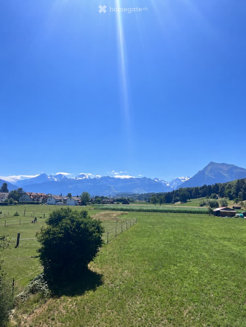 A peaceful rural landscape with green fields, scattered trees, a few houses, and distant snow-capped mountains under a clear blue sky.
