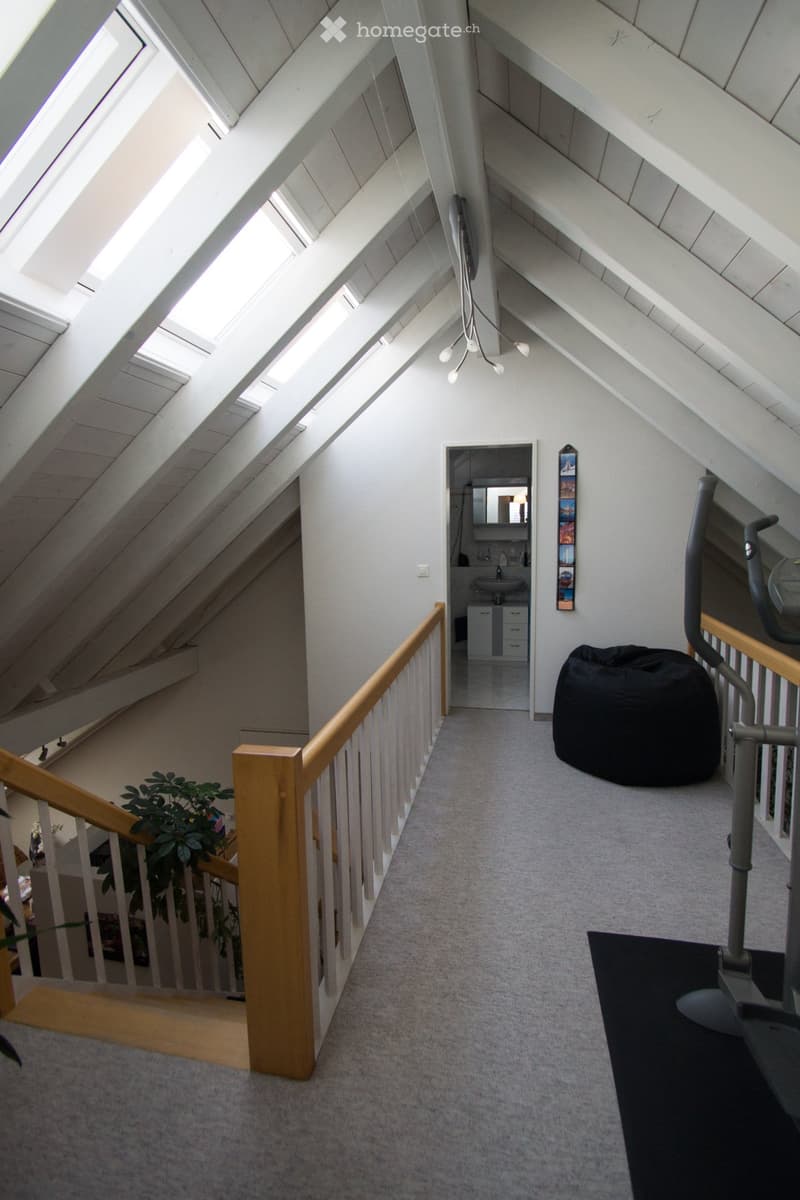 Bright, open attic corridor with wooden railings, skylights, and a small bathroom visible at the end. Features a bean bag chair and a potted plant on the left side.