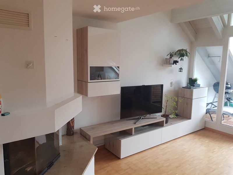 Modern living room with a flat-screen TV on a wooden stand, white cabinets, potted plants, and a fireplace.