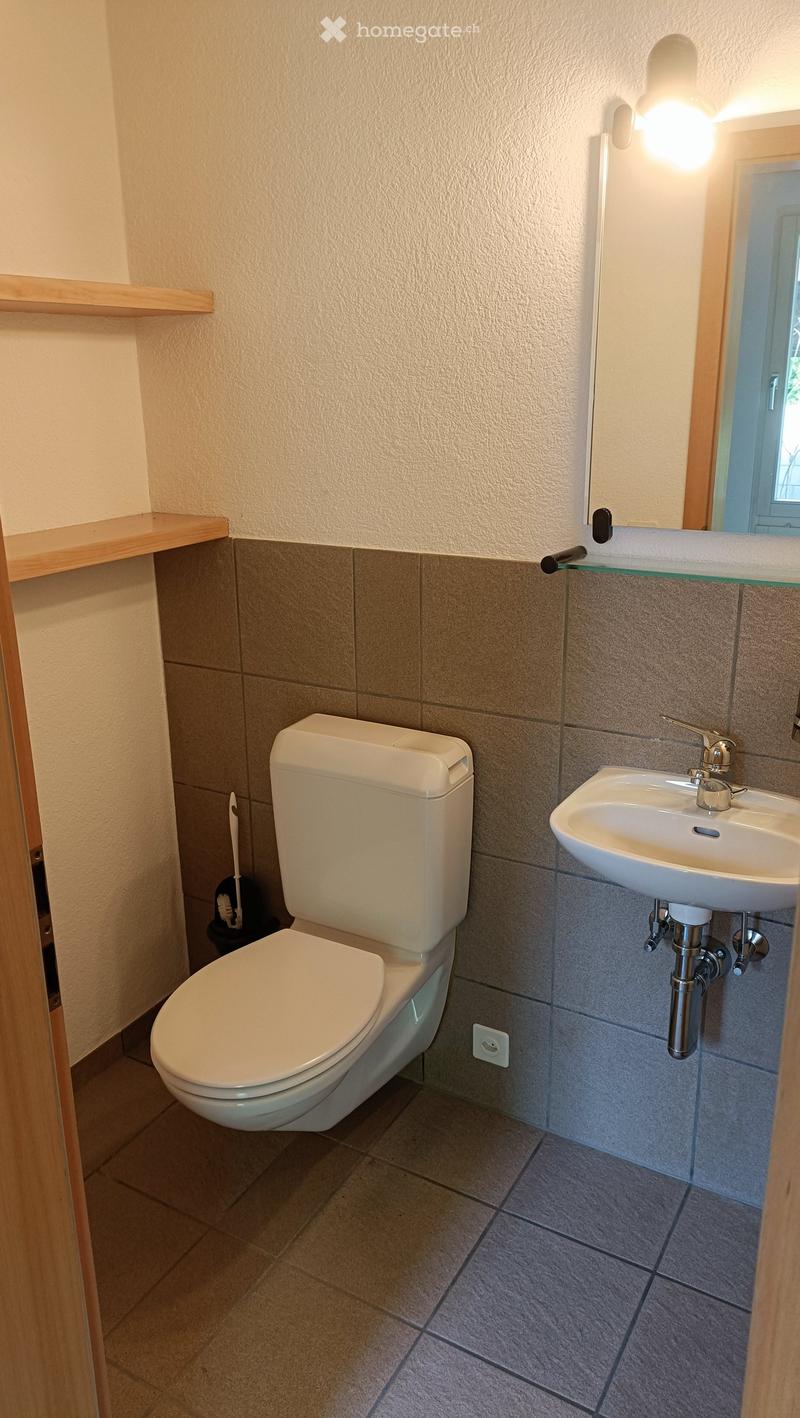 Modern bathroom with a white toilet, sink, and mirror. Features tiled walls and wooden shelves.
