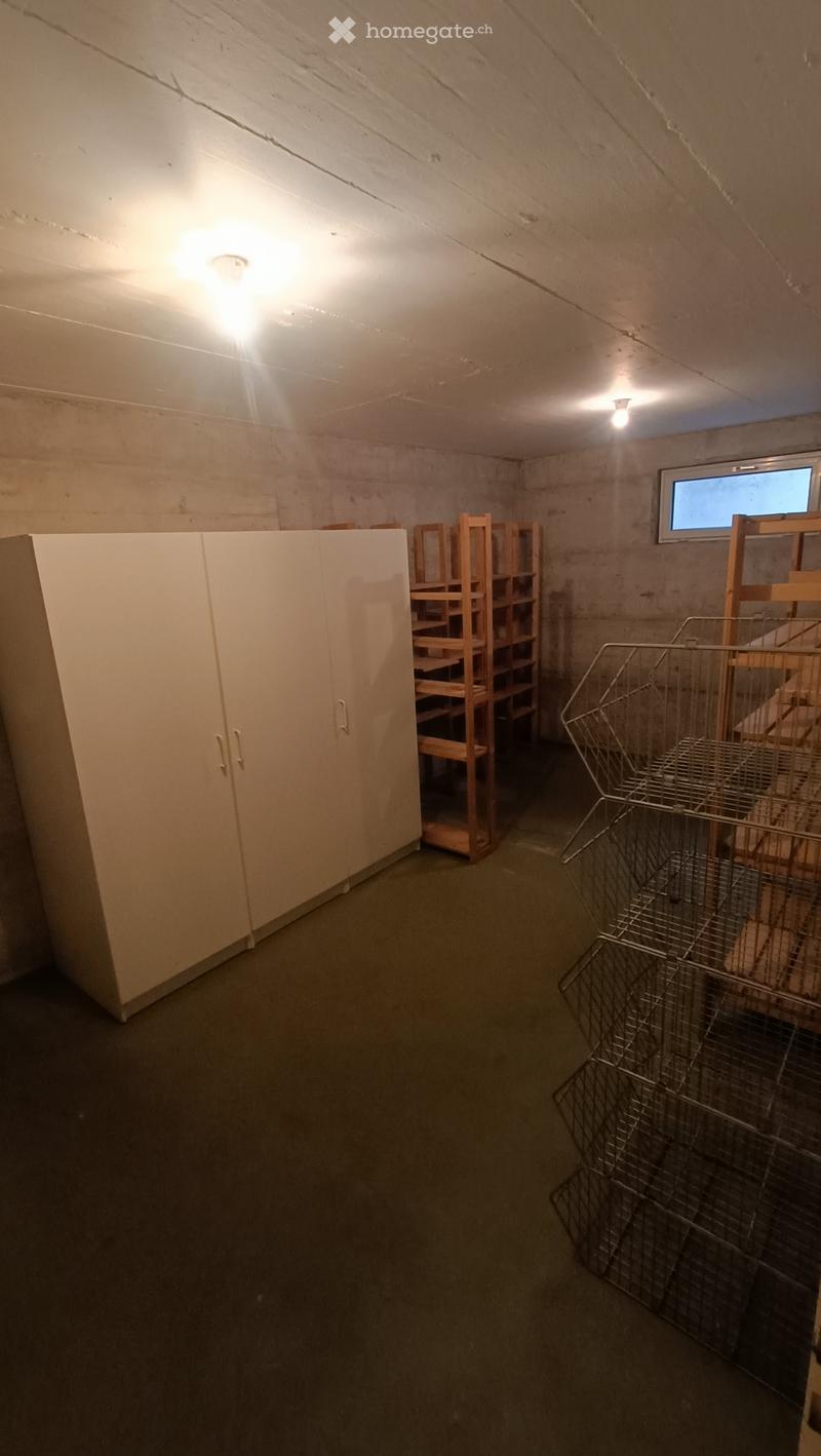 A small, dimly lit basement or storage room with concrete walls and a concrete ceiling. Features include a large white cabinet, wooden shelves, and several metal cages stacked on the floor.