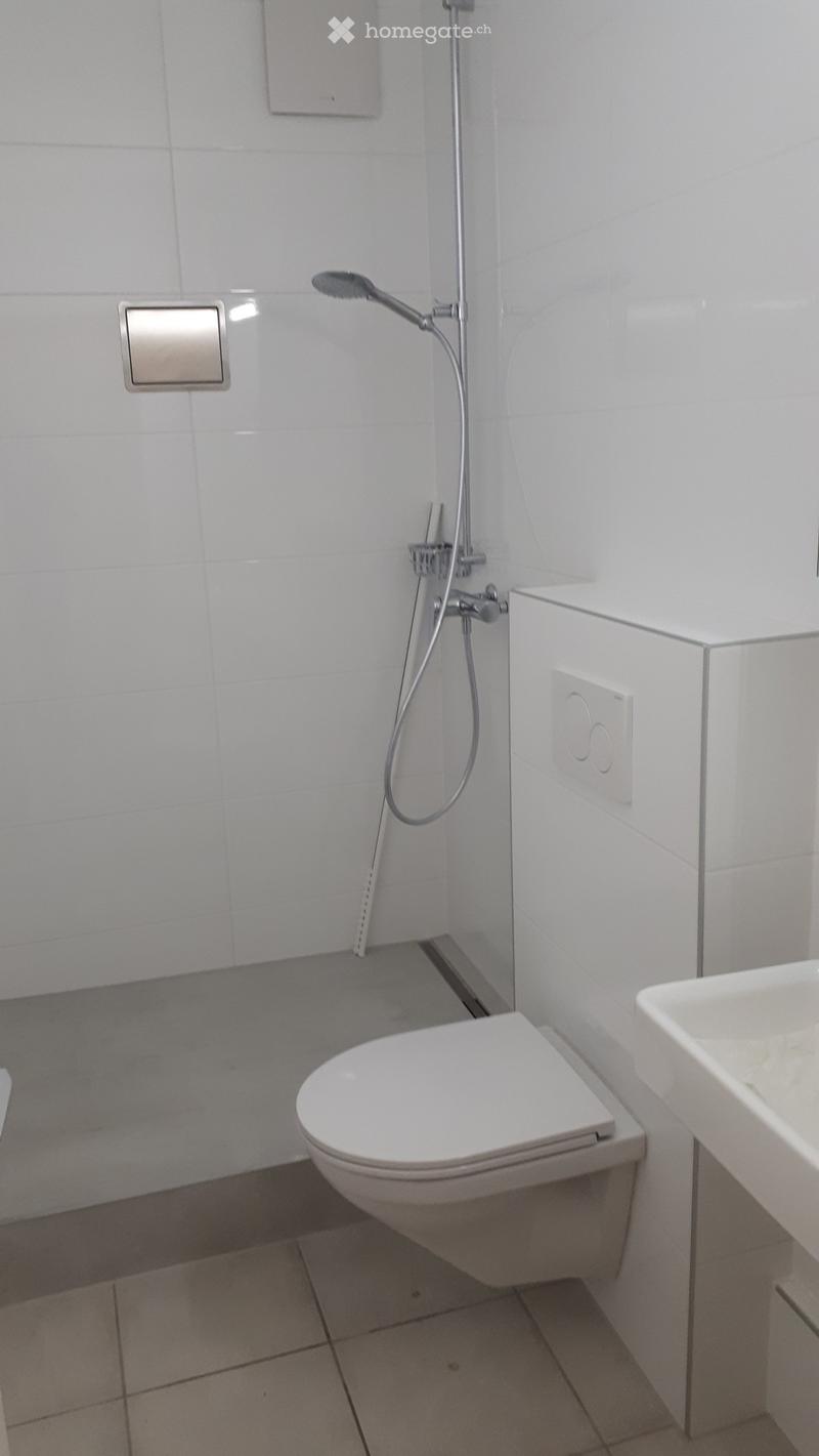 Wohnung in Basel / Nähe Bahnhof SBB (5)
