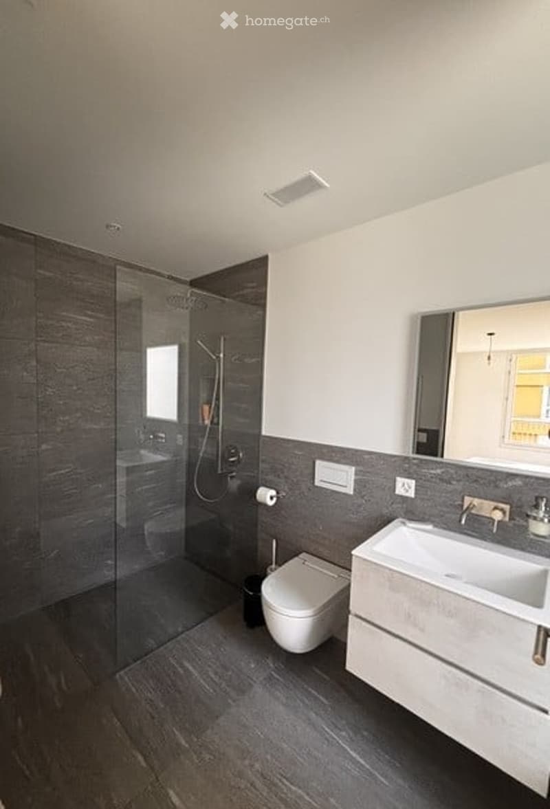 Modern bathroom with dark grey tiles, a glass-enclosed shower, a white toilet, a sink with a mirror, and a vent on the ceiling.