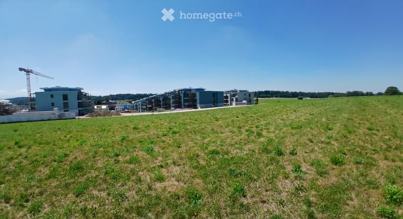 A grassy field with a row of modern apartment buildings in the background, under a clear blue sky.