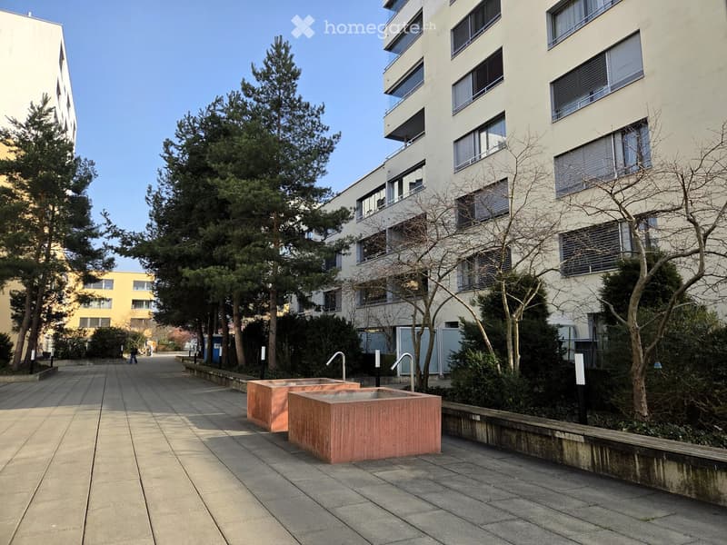 Courtyard area with modern building, trees, and water features.