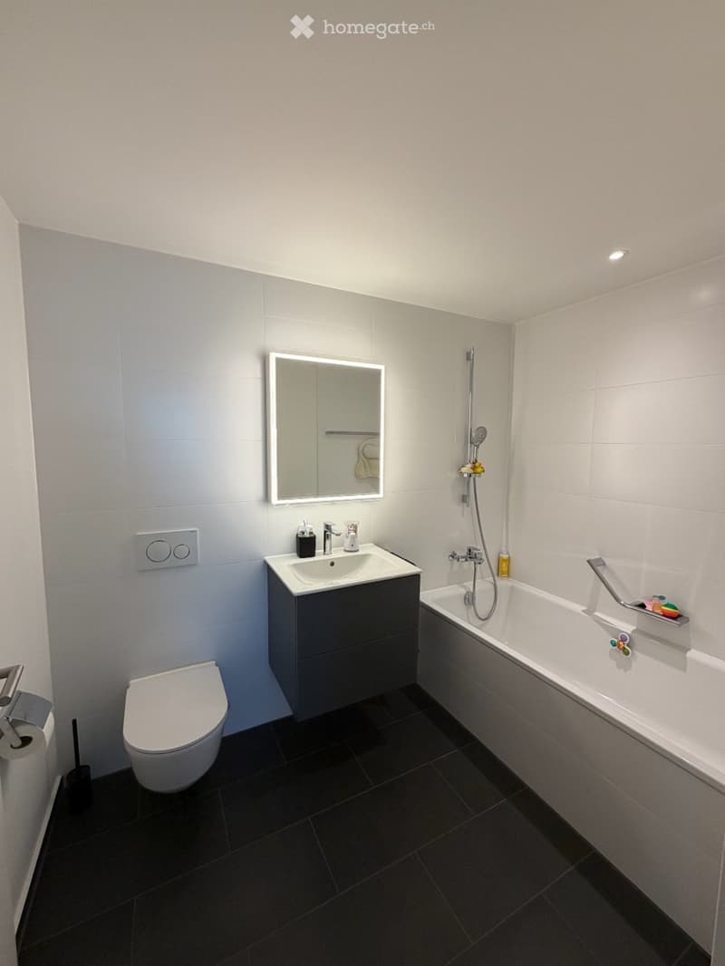 Modern bathroom with dark tiled floor, white walls, a sink with a mirror, a bathtub with a handheld shower, and a toilet.
