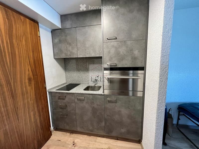 Modern kitchen with grey cabinets, stainless steel appliances, and a wooden floor.