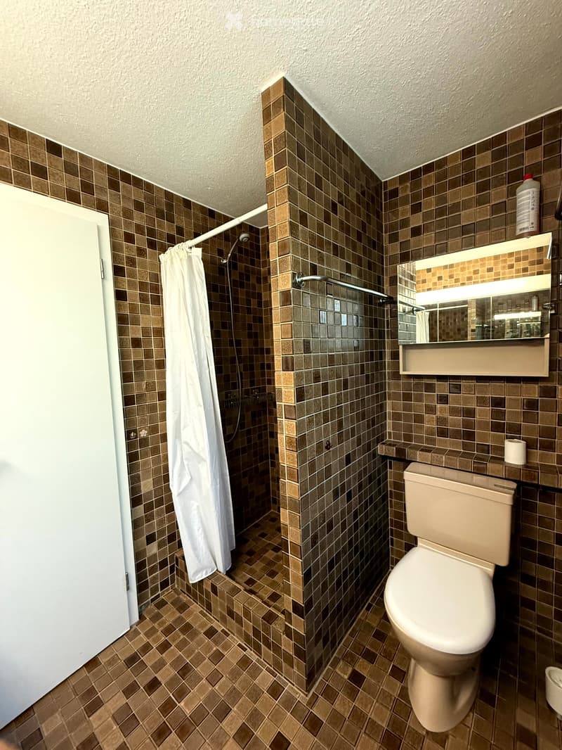 Bathroom with brown tiled walls and floor, featuring a toilet, shower area with a curtain, and a mirror with a shelf above it.