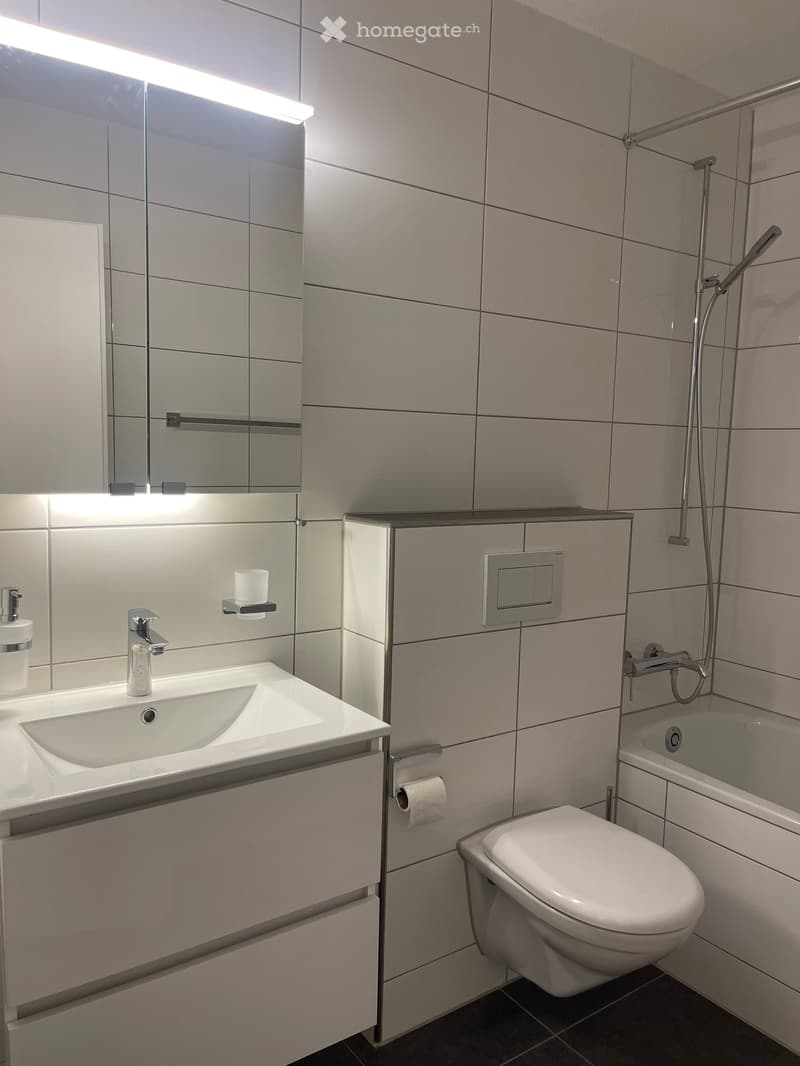 Modern bathroom with white tiles, a sink with a chrome faucet, a large mirror with built-in lighting, a toilet, a bathtub with a handheld showerhead, and a toilet paper holder.