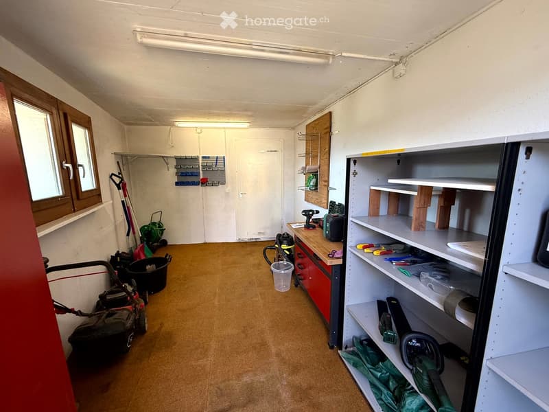 A well-organized utility room with shelves, a workbench, and various tools and equipment neatly stored.