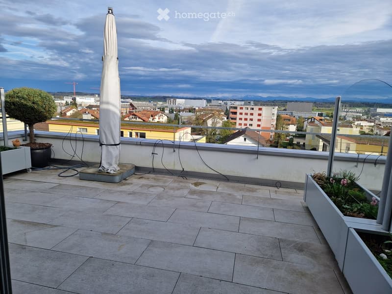 Traumhafte Wohnung mit offener Wohnküche und großzügiger Terrasse (3)
