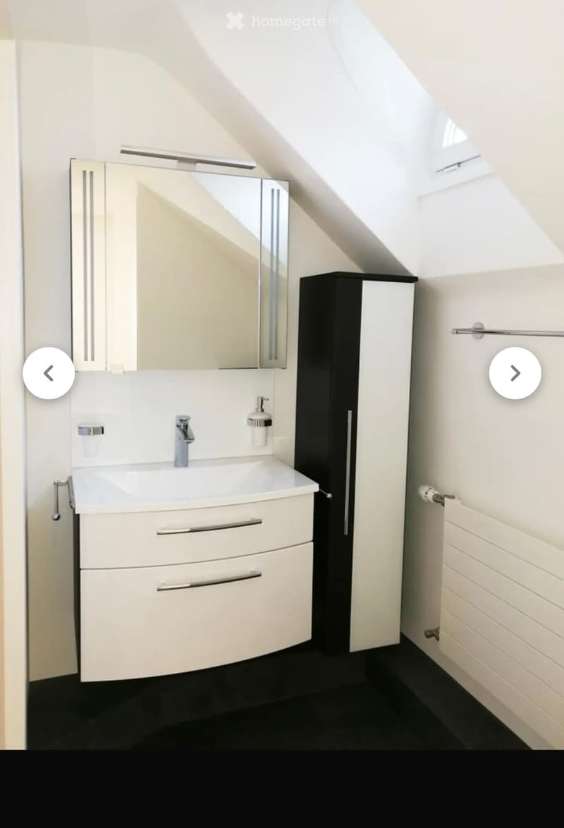 Modern bathroom with a white sink, chrome faucet, large mirror, and built-in cabinets. The room features sleek, contemporary design elements and ample natural light from the sloped ceiling windows.