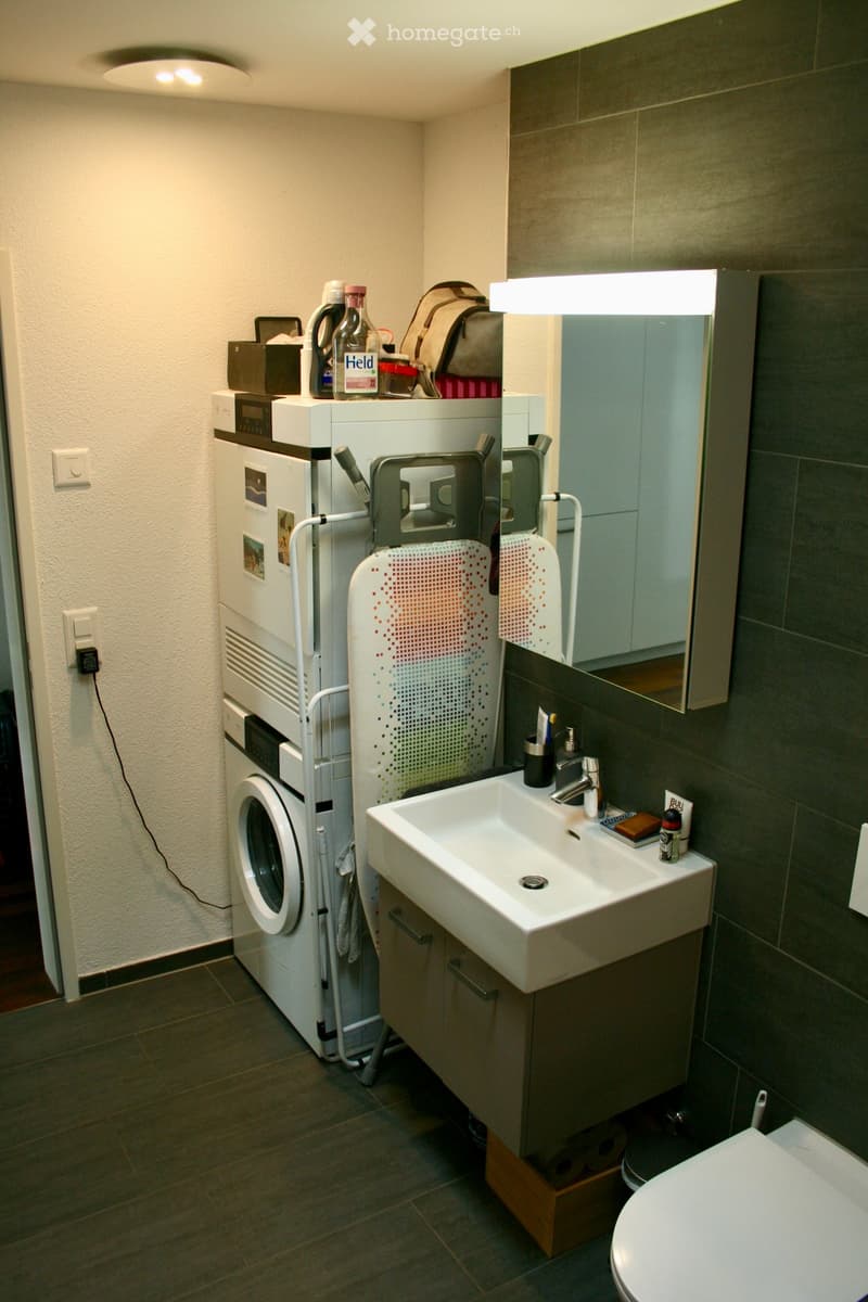 Modern bathroom with a white sink, faucet, and toilet. A washing machine and refrigerator are positioned next to the sink, with a mirror above it. The room features dark tiled walls and a tiled floor.