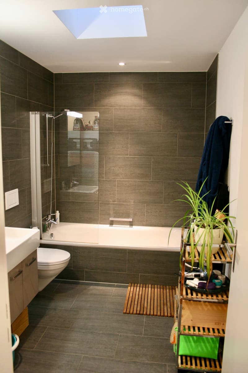 Modern bathroom with dark grey tiles, a bathtub, toilet, sink, and a glass-enclosed shower. A wooden shelf holds a potted plant and various toiletries.