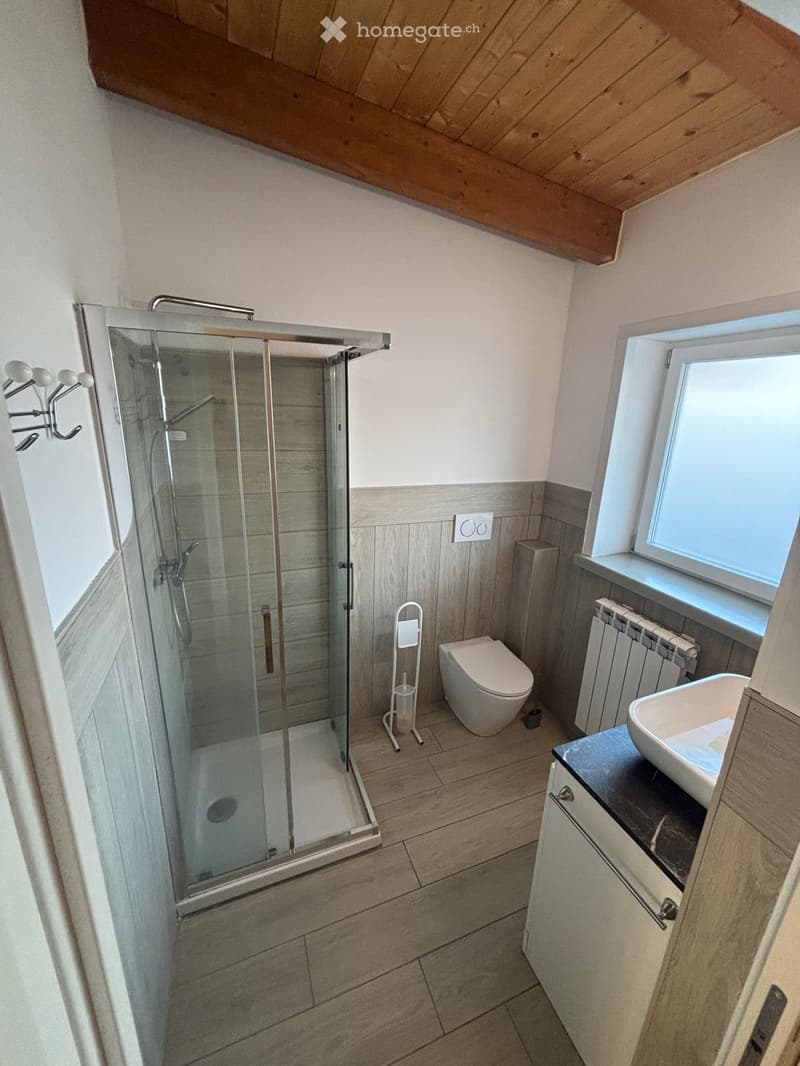 Modern bathroom with wooden flooring, a glass-enclosed shower, a toilet, a sink with a cabinet, and a radiator.