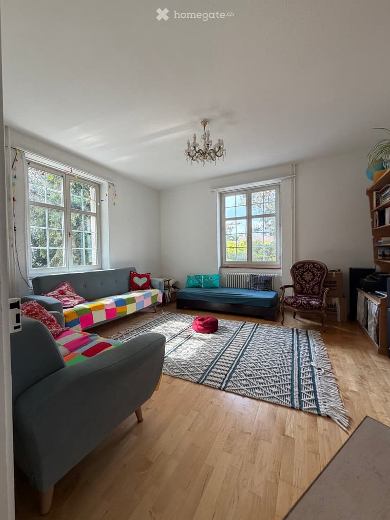 Living room with wooden flooring, large windows, a sofa with colorful cushions, a patterned rug, a decorative chair, and a chandelier.