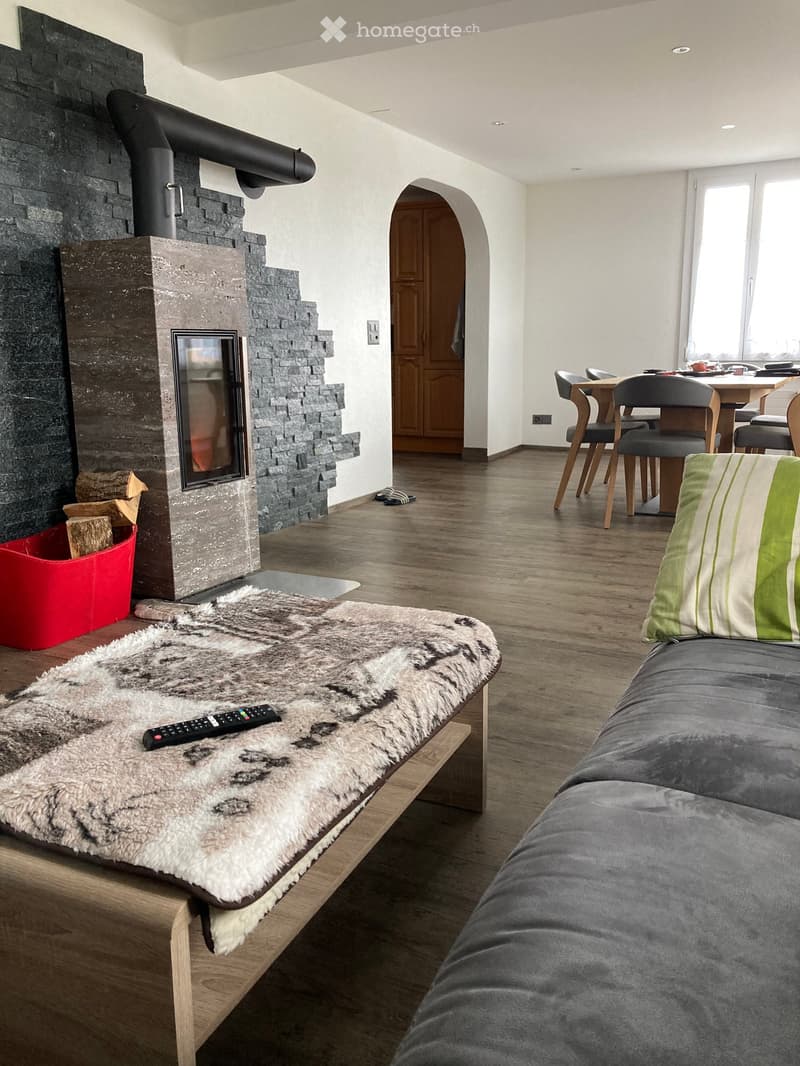 Modern living room with a fireplace, sofa, coffee table, dining area, and a fur rug.