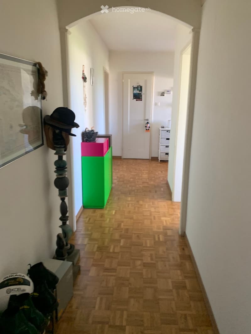 A narrow hallway with wooden flooring, white walls, and a green and pink storage unit on the left side. A decorative column with a hat and a small shelf is also visible.