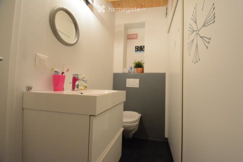 Modern bathroom with a white sink, pink cup, toothbrush, and a round mirror above it. A toilet is visible in the background, along with a small plant on the counter.