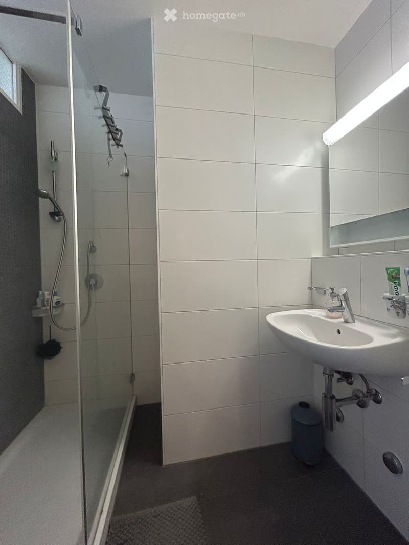 Modern bathroom with a white tiled shower area, a white sink with a chrome faucet, a mirror above the sink, and a small trash can on the floor.