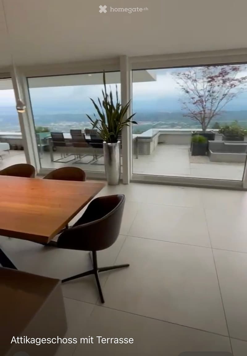 Modern dining area with a wooden table, chairs, and a large potted plant near a large glass sliding door leading to a terrace with a scenic ocean view.