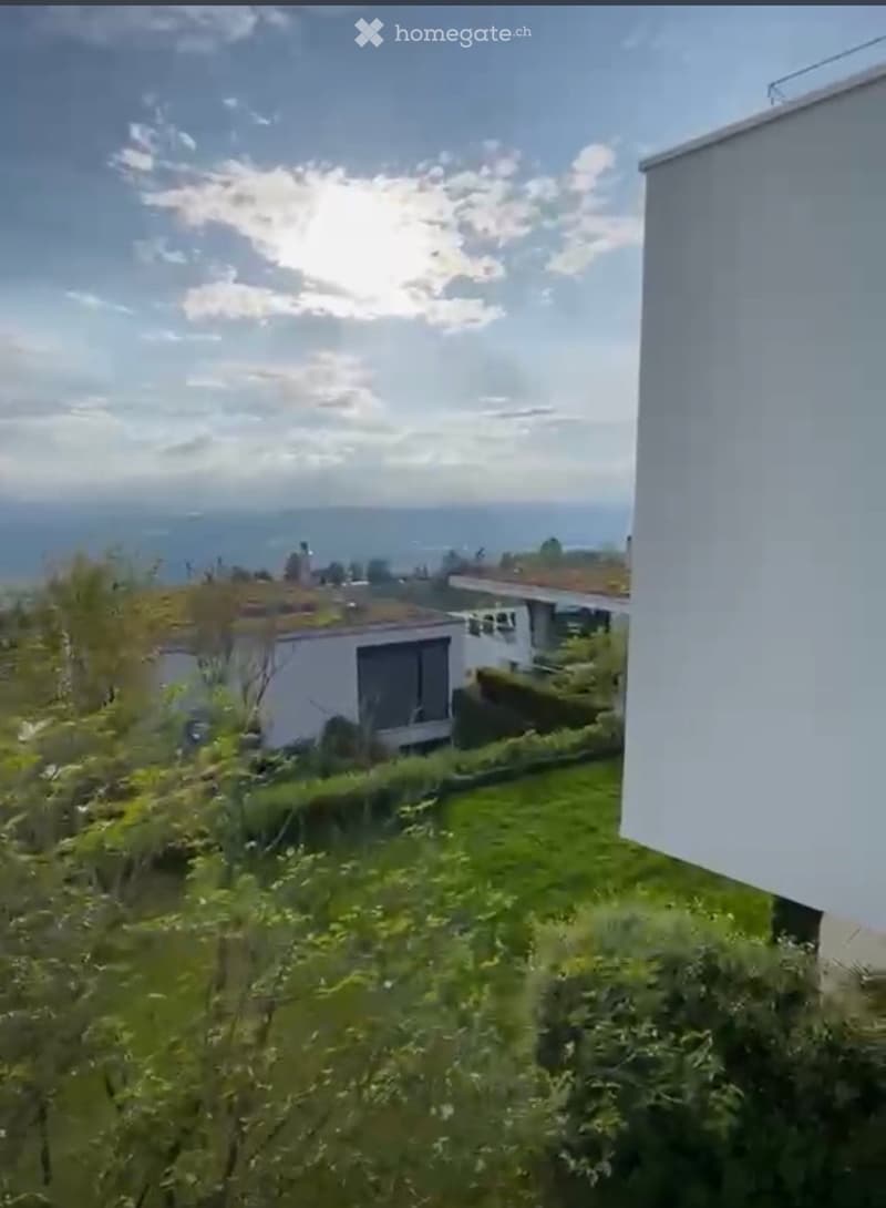 A lush, green garden area with a view of the ocean and distant buildings. The foreground shows dense vegetation, while the background features a clear sky and a distant shoreline.
