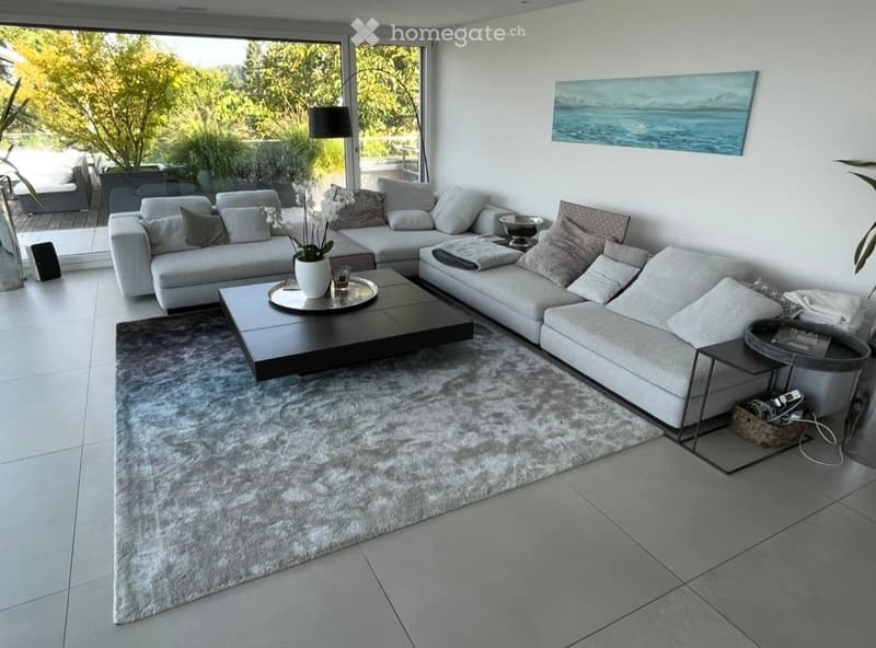Exklusives Premium-Haus nahe Zürich West (69)