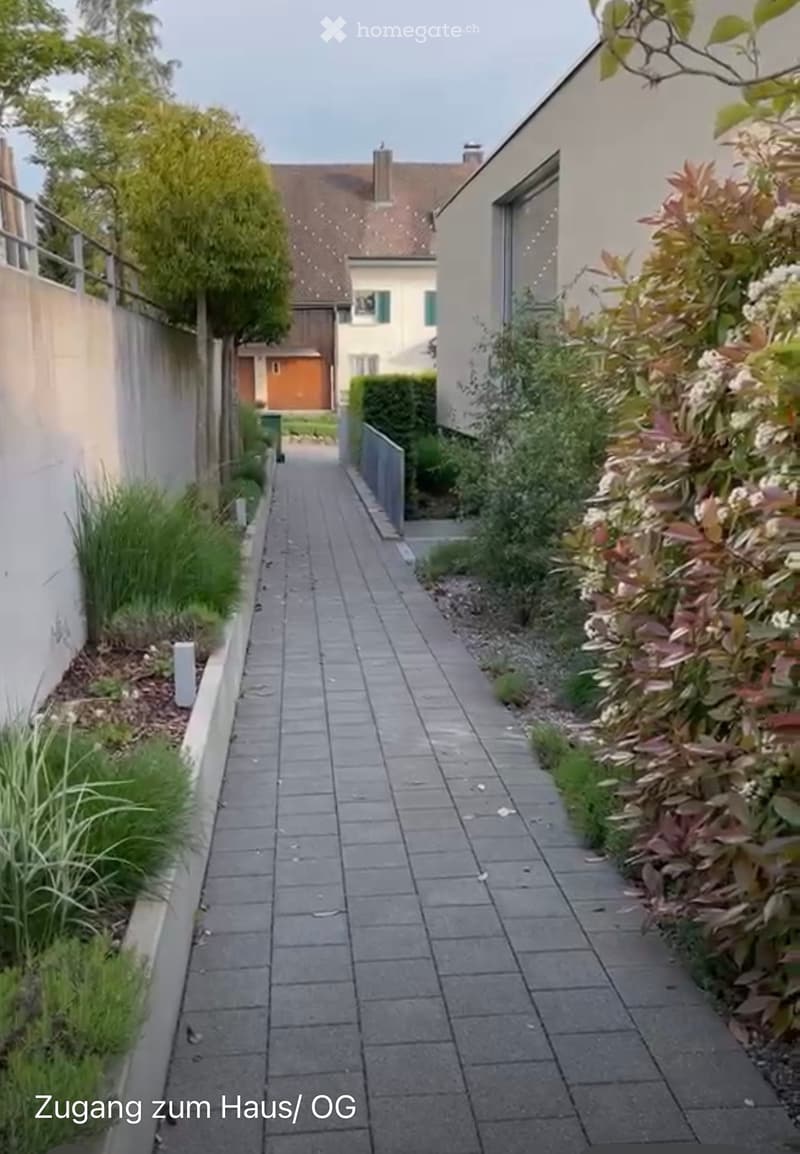 Narrow paved pathway leading to a house, flanked by low hedges and small plants, with a white wall on one side and a metal fence on the other.