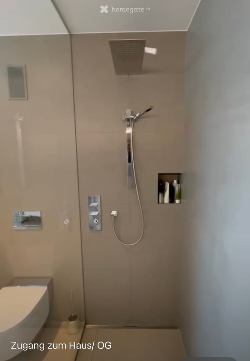 Modern bathroom with a shower area, toilet, and built-in shelf holding bottles. Features a sleek showerhead and faucet.