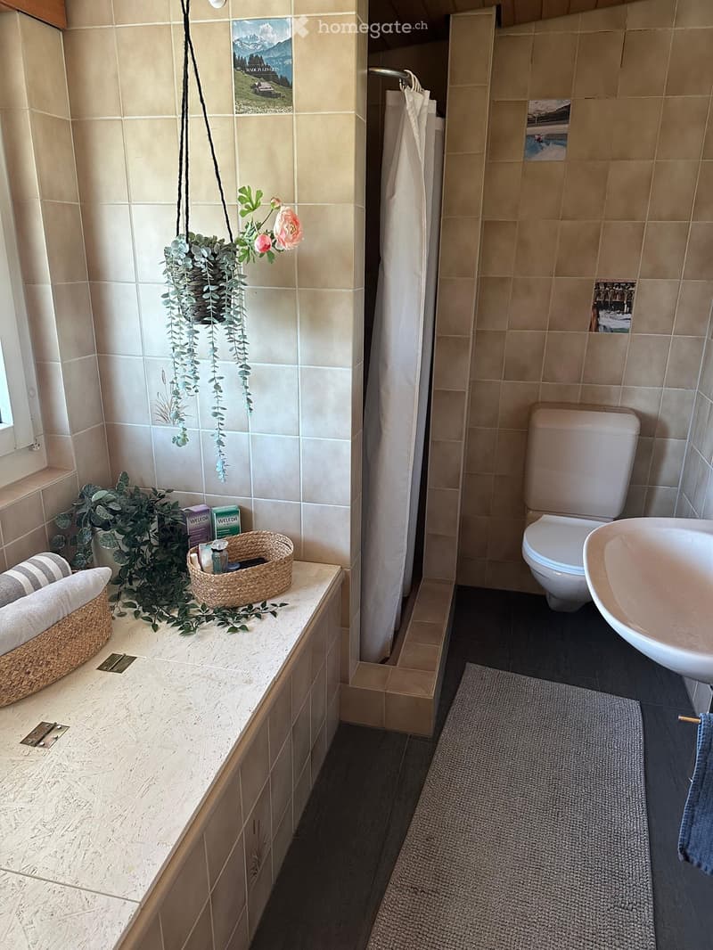 Modern bathroom with beige tiles, a toilet, a sink, a bathtub, a wicker basket on the counter, a hanging plant, and a towel on the floor.