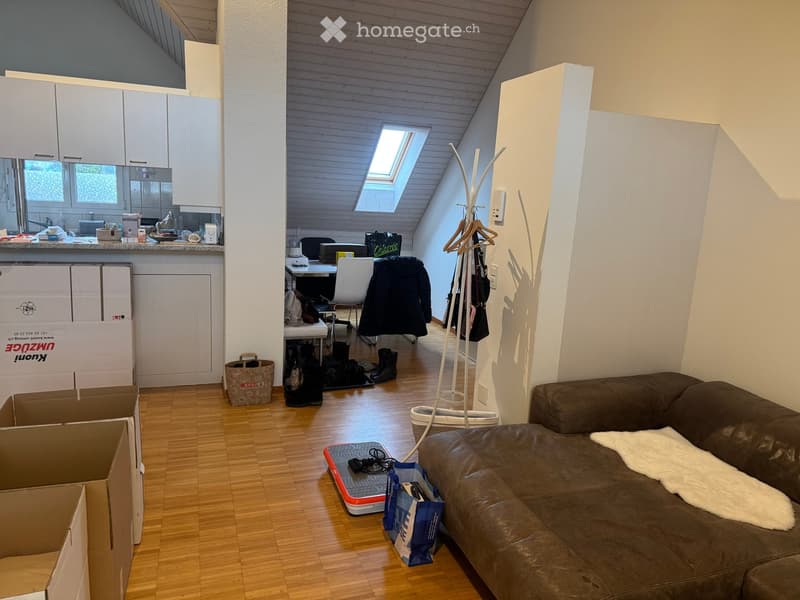 A modern, open-concept living and dining area with a slanted wooden ceiling and skylight. Features include a brown leather sofa, a white dining chair, a small table, a coat rack, and a kitchen area with cabinets and a refrigerator. The space is partially