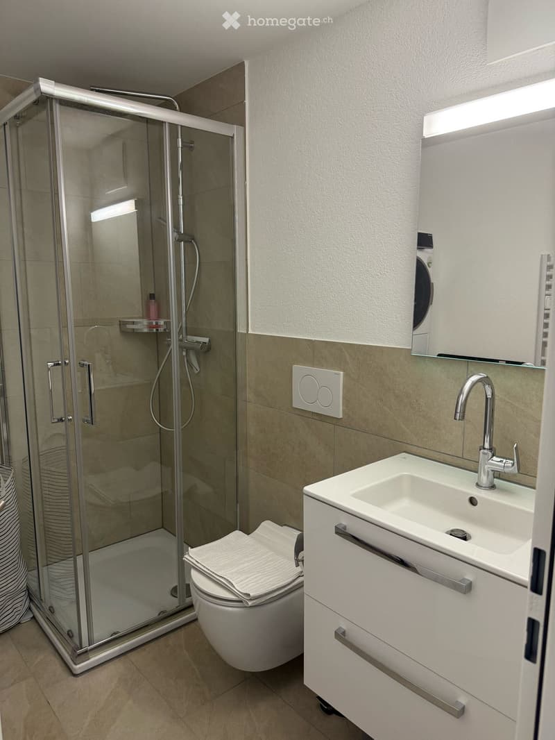 Modern bathroom with a white sink, chrome faucet, toilet with a folded towel, glass-enclosed shower, and a built-in cabinet with a mirror above the sink.