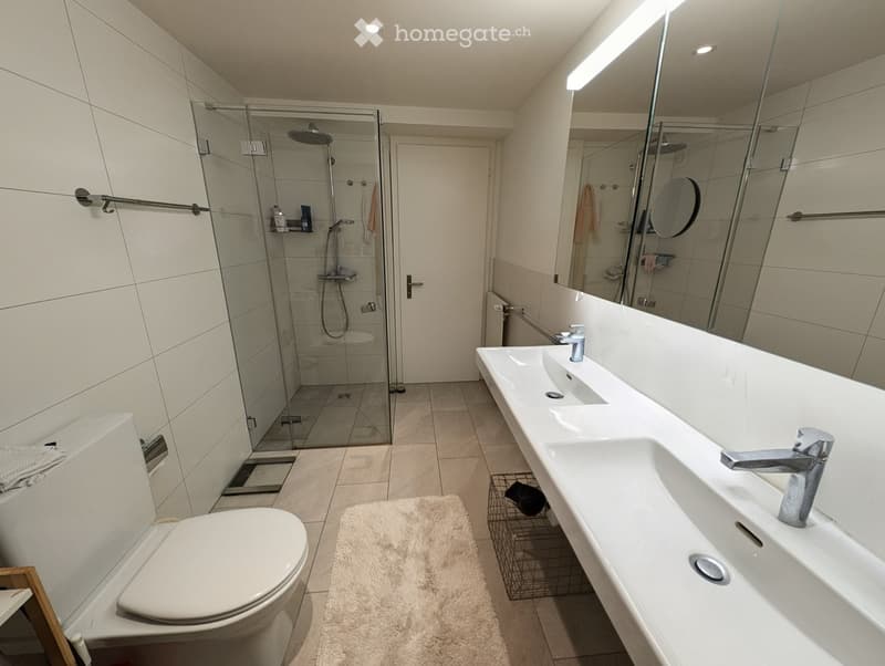 Modern bathroom with a large double sink, toilet, glass-enclosed shower, and a large mirror above the sink. The space features white tiles, a beige rug, and a small basket on the floor.