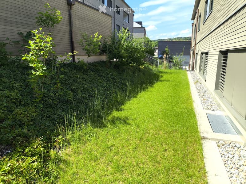 A narrow, well-maintained garden area with a neatly trimmed lawn, surrounded by a gravel path and small shrubs, adjacent to a building with light-colored siding.