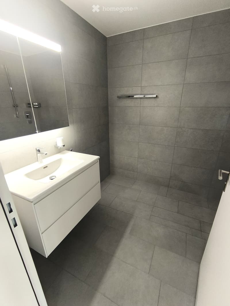 Modern bathroom with grey tiled walls and floor, white sink with integrated storage, large mirror with built-in lighting, and towel rack.