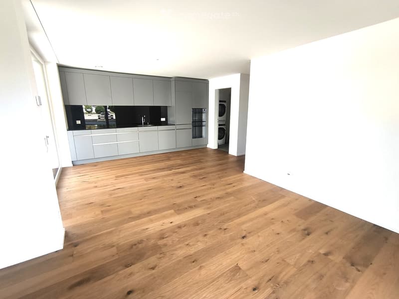 Empty room with light grey cabinets, a sink, and a washing machine in the background. The floor is made of light wooden planks.