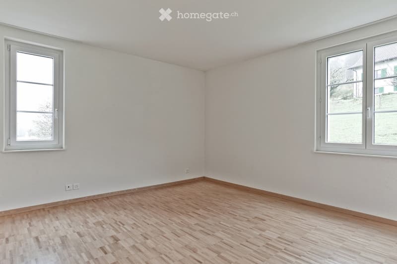 empty room with wooden floor and two windows