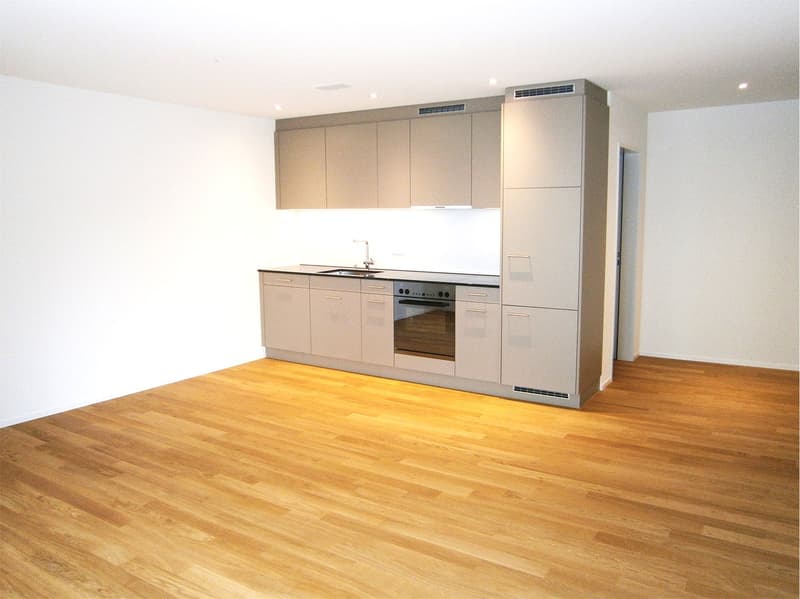modern kitchen with wooden floor, white walls, built-in oven, dishwasher, sink, cabinets