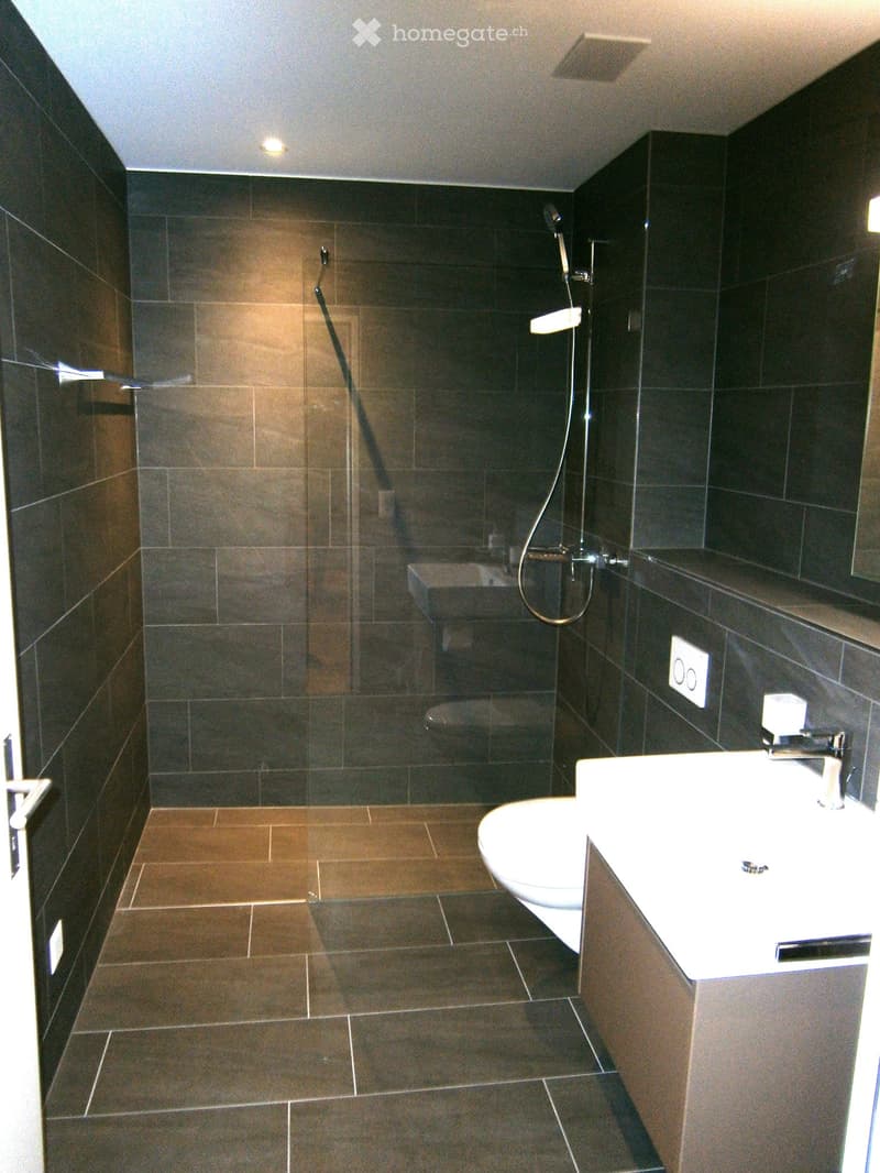 modern bathroom with black tiles, glass shower enclosure, white toilet, white sink, silver faucet, power outlet