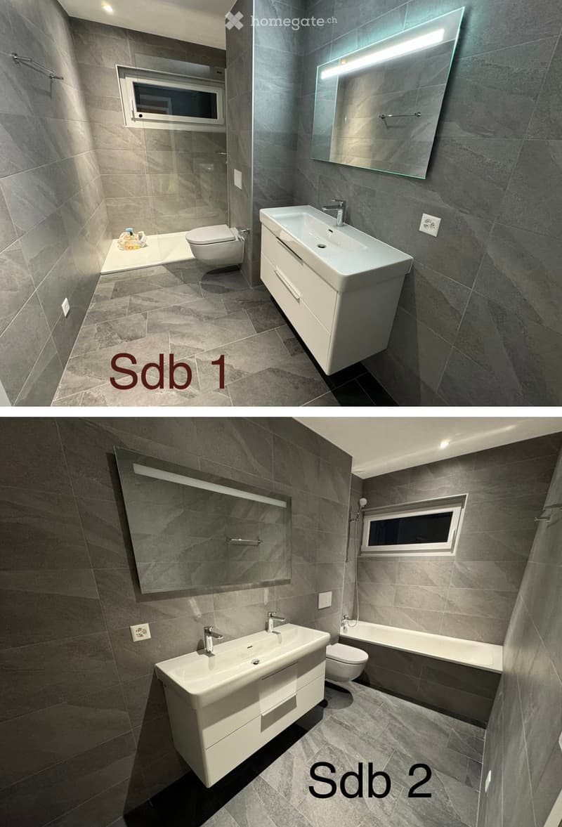 Maison moderne à louer de 4.5 pièces à Riddes (4)