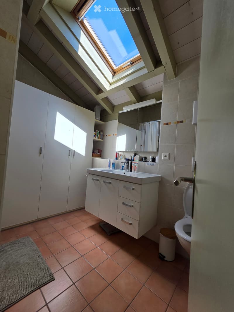 Modern bathroom with a white sink, toilet, mirror, and built-in cabinets. Features a skylight window and tiled floor.