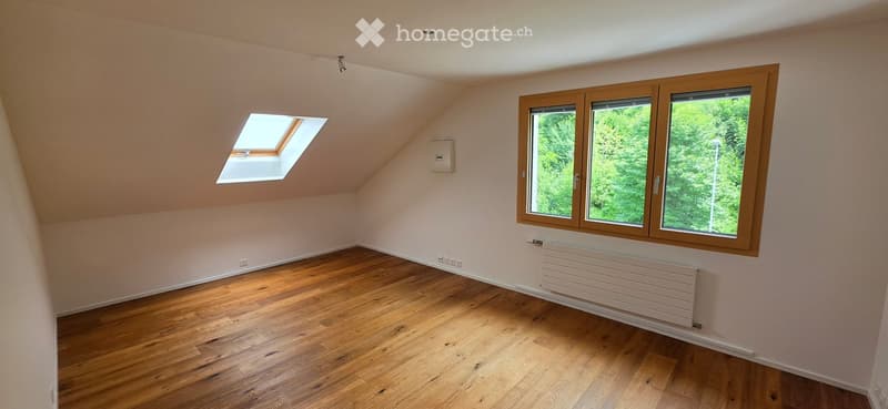 Empty attic room with wooden flooring, large windows, skylight, and radiator.