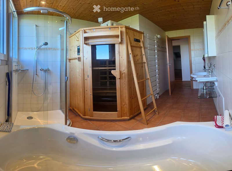 Modern bathroom with a large bathtub, separate shower area, wooden sauna, sink, and radiator.