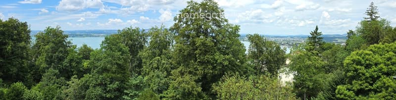 Panoramic view of a lake and distant landscape from a high vantage point surrounded by dense green trees.