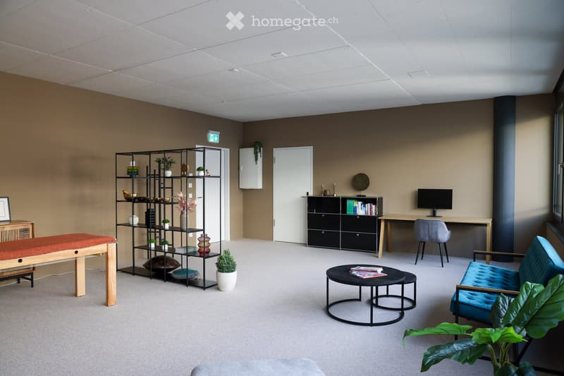 Modern, well-lit room with a mix of seating and work areas. Features a blue sofa, wooden bench, round coffee table, desk with chair, shelving unit with decorative items, and potted plants.