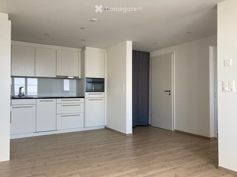 Modern kitchen with white cabinets, a sink, a microwave, and wooden flooring.