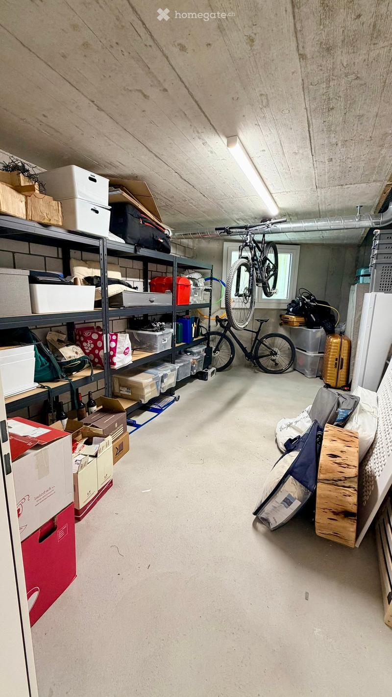 Storage area with metal shelving units filled with boxes, bags, and miscellaneous items. A bicycle is hanging from the ceiling, and there are additional storage containers and luggage on the floor.