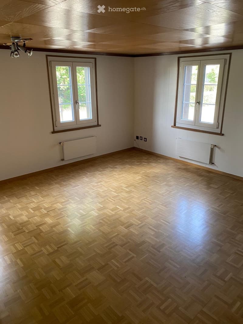 Empty room with wooden herringbone flooring, white walls, two windows, radiators, and a ceiling light fixture.