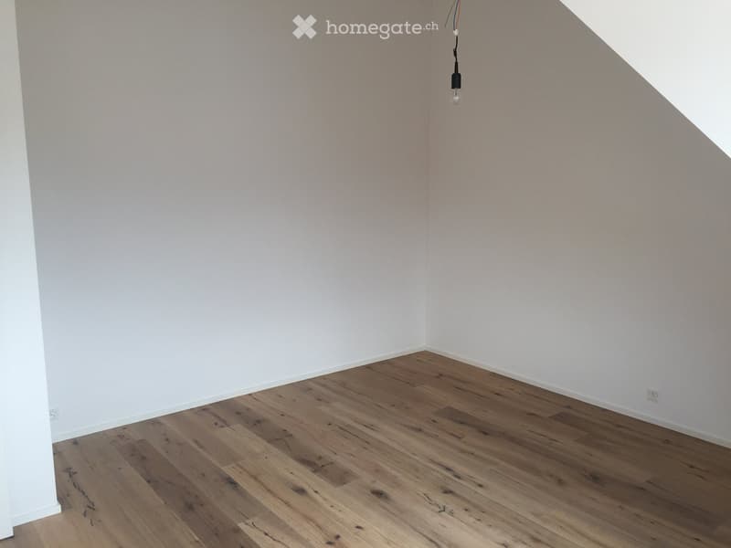 Moderne 2.5-Zimmer-Dachwohnung mit Bergblick an der Brünigstrasse in Luzern (10)